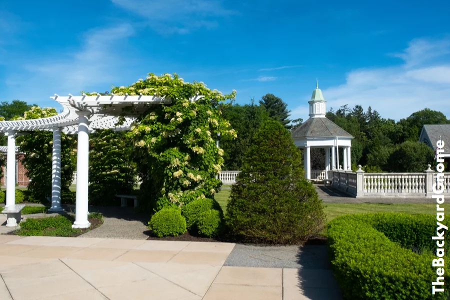 Trellis and gazebo with greenery under a deep blue sky