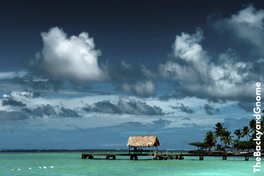 View of a blue beach with a gazebo in the middle, Caribbean Island Tobago, Trinidad