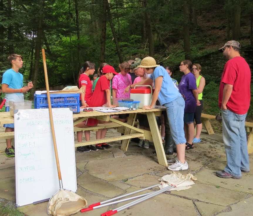 Friends of Salt Springs Park – Preserving a Piece of Pennsylvania Paradise