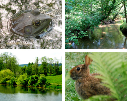 The Open Land Conservancy of Chester County: Keeping Wild, Wonderful Wilderness Well and Welcoming