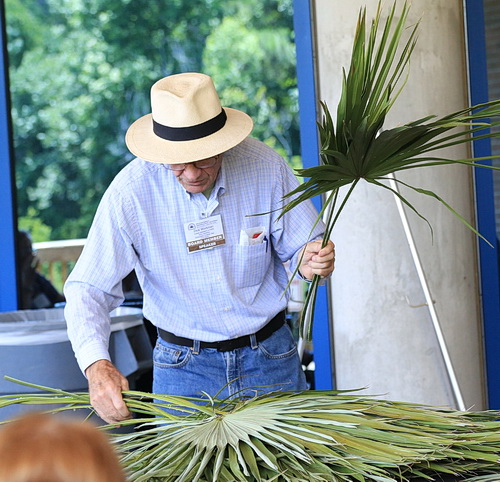 Florida Native Plant Society: Faithful Friends of Florida’s Flora