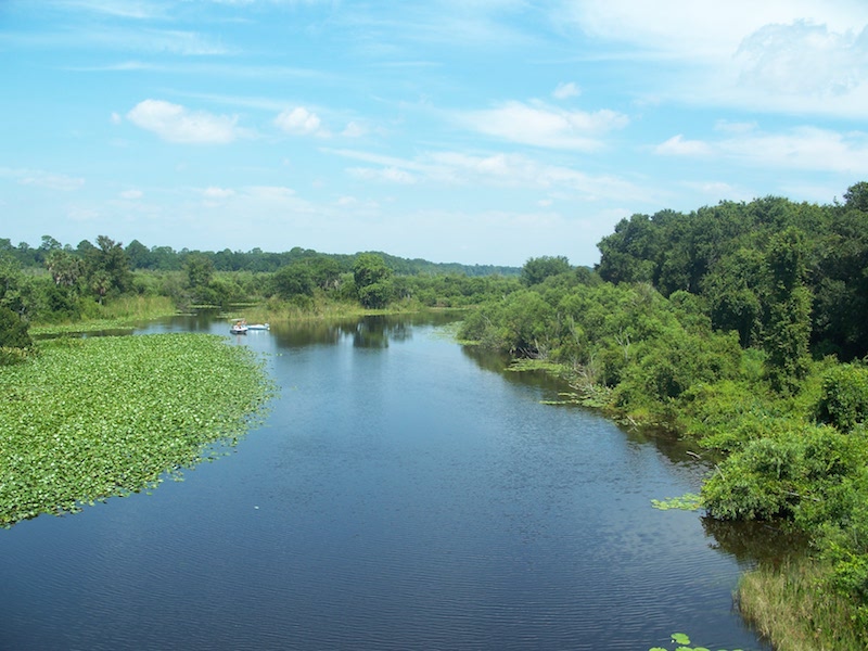 Starkes Ferry Ocklawaha River