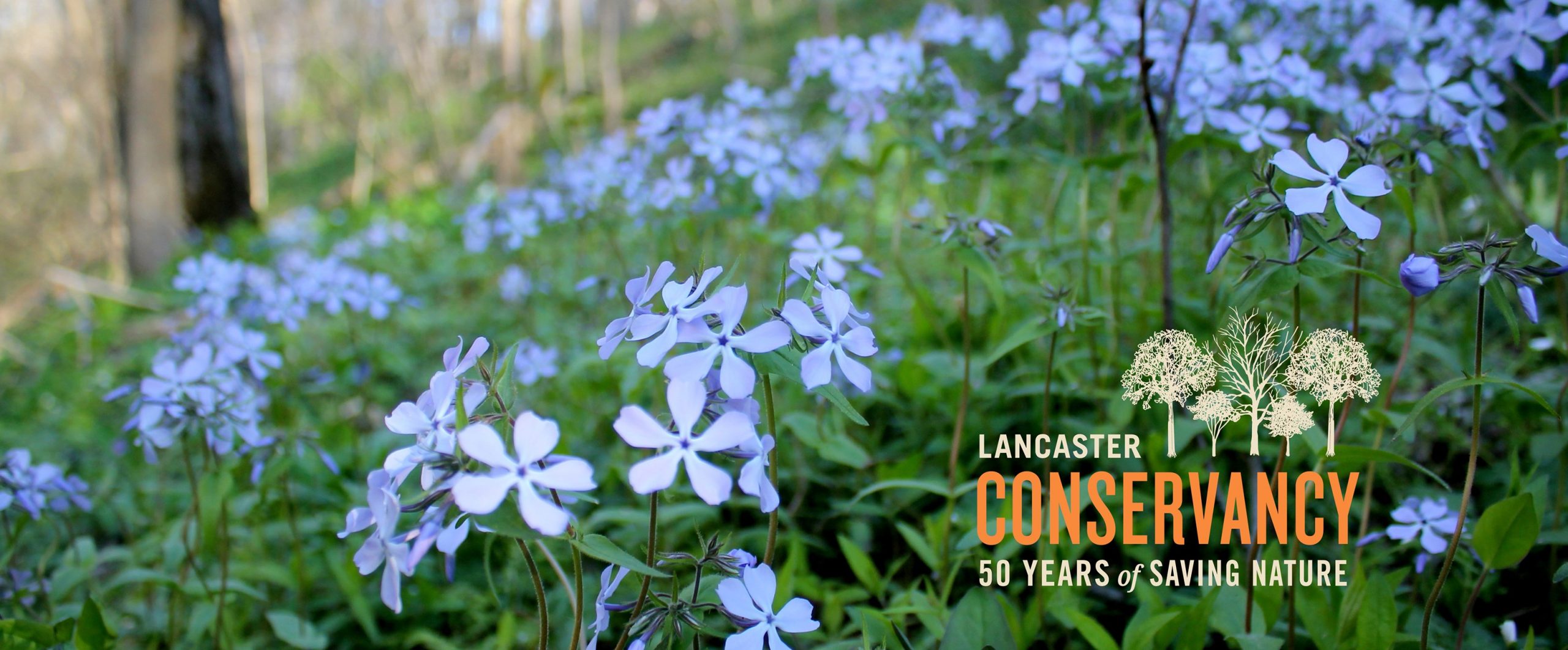 Lancaster Conservancy Banner