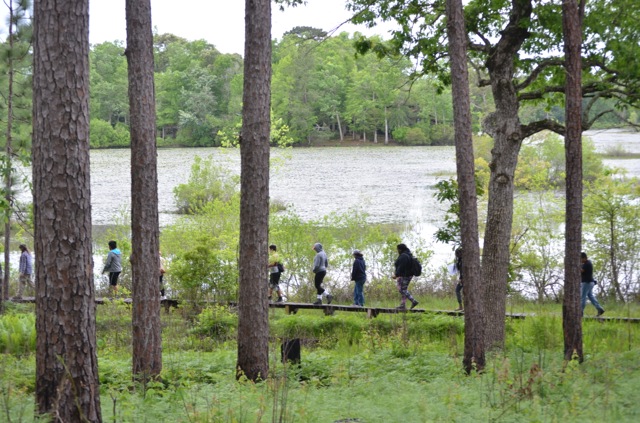 The Big Thicket Association: Big Ideas, Bigger Determination