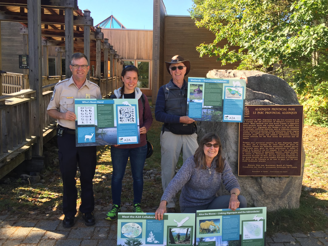 The A2A Collective: Bridging the Gap Between Nature and Humanity